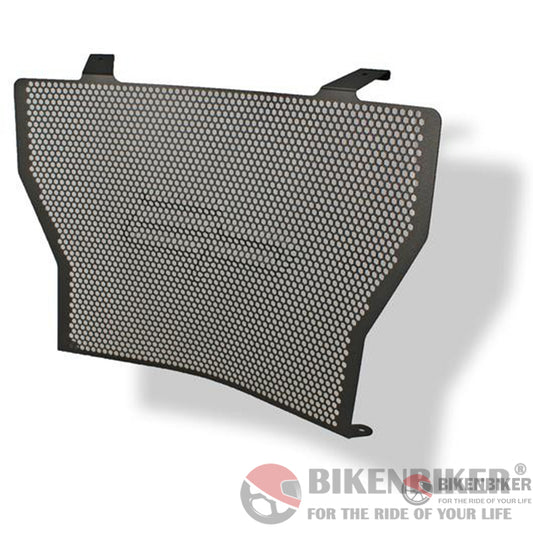 Bmw S 1000 R/Rr/Xr Radiator Guard 2010 +